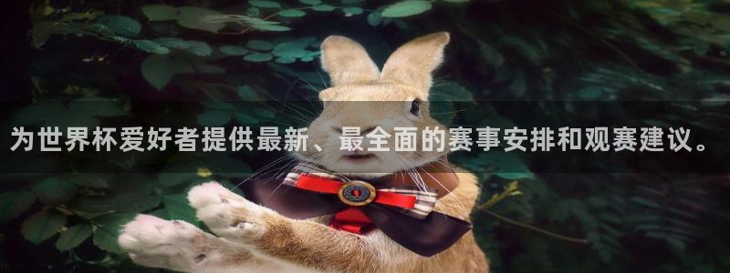 世界杯足球2026：为世界杯爱好者提供最新、最全面的赛事安排和观赛建议。