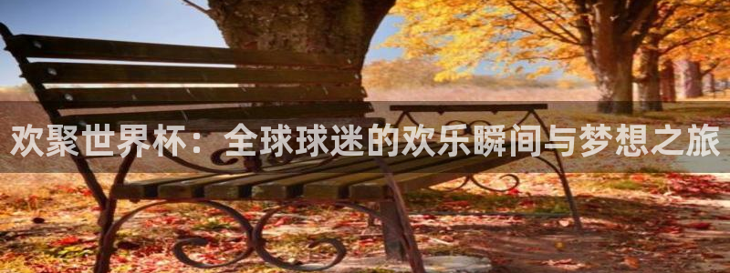 世界杯亚洲区预选赛：欢聚世界杯：全球球迷的欢乐瞬间与梦想之旅