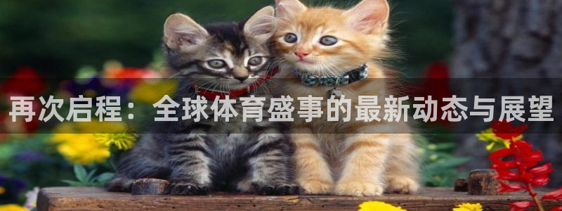 世预赛赛程表：再次启程：全球体育盛事的最新动态与展望