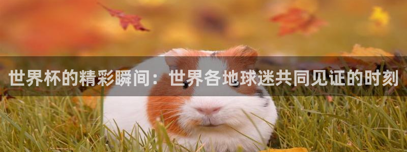 澳门世界杯直播：世界杯的精彩瞬间：世界各地球迷共同见证的时刻