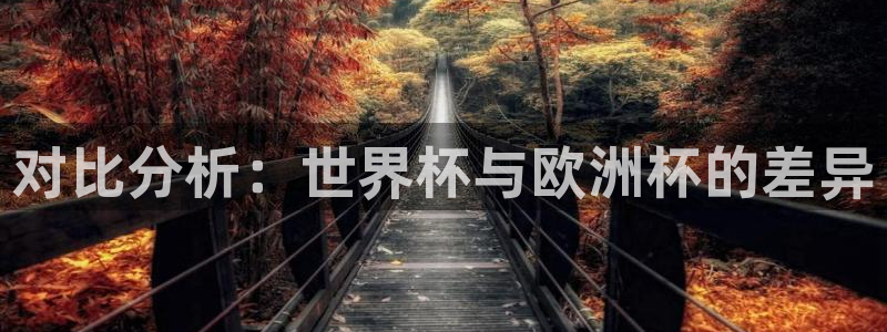 葡萄牙世界杯赛程:对比分析:世界杯与欧洲杯的差异