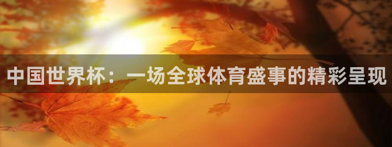 世界杯官网入口：中国世界杯：一场全球体育盛事的精彩呈现