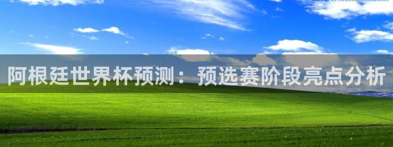 世界杯亚洲区预选赛：阿根廷世界杯预测：预选赛阶段亮点分析
