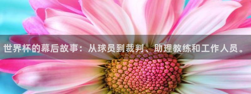 2026世界杯预选赛：世界杯的幕后故事：从球员到裁判、助理教练和工作人员。