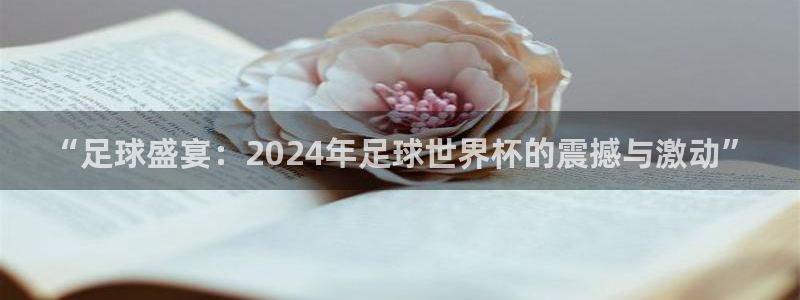 世界杯赛程时间表：“足球盛宴：2024年足球世界杯的震撼与激动”