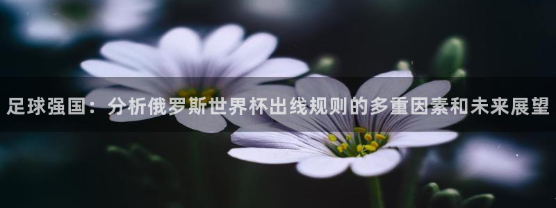 世界杯球赛：足球强国：分析俄罗斯世界杯出线规则的多重因素和未来展望