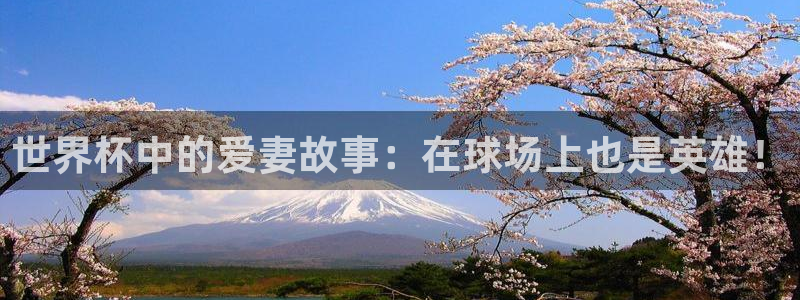 世界杯预选赛2026：世界杯中的爱妻故事：在球场上也是英雄！