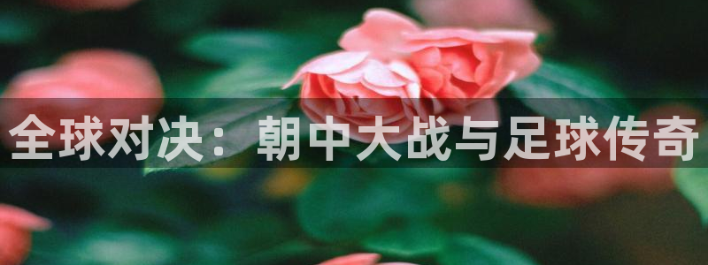 2026世界杯赛：全球对决：朝中大战与足球传奇