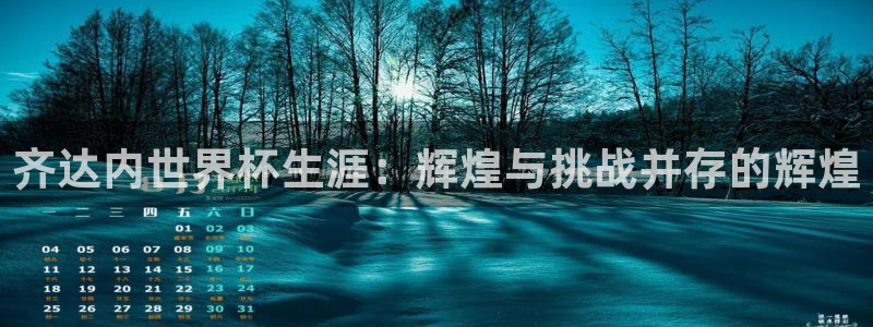 中国 世界杯：齐达内世界杯生涯：辉煌与挑战并存的辉煌