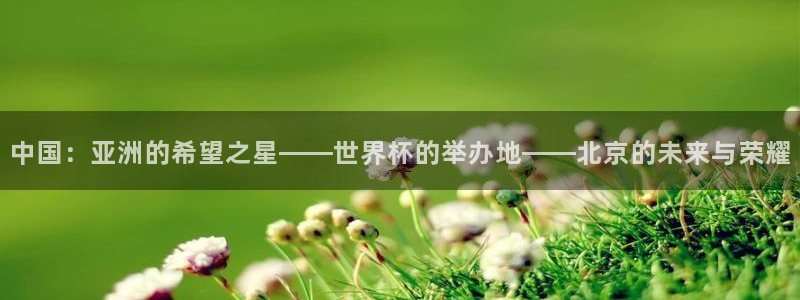 2026世界杯对阵图:中国:亚洲的希望之星——世界杯的举办地——北京的未来与荣耀