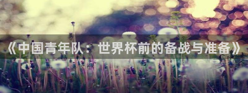 世界杯球赛：《中国青年队：世界杯前的备战与准备》
