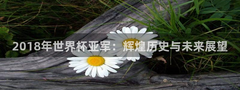 世界杯足球直播：2018年世界杯亚军：辉煌历史与未来展望