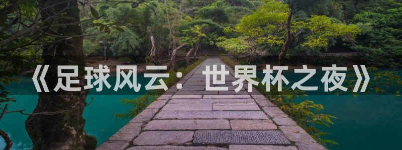 世俱杯直播：《足球风云：世界杯之夜》